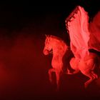"Pegasus" im bengalischen Feuer.....