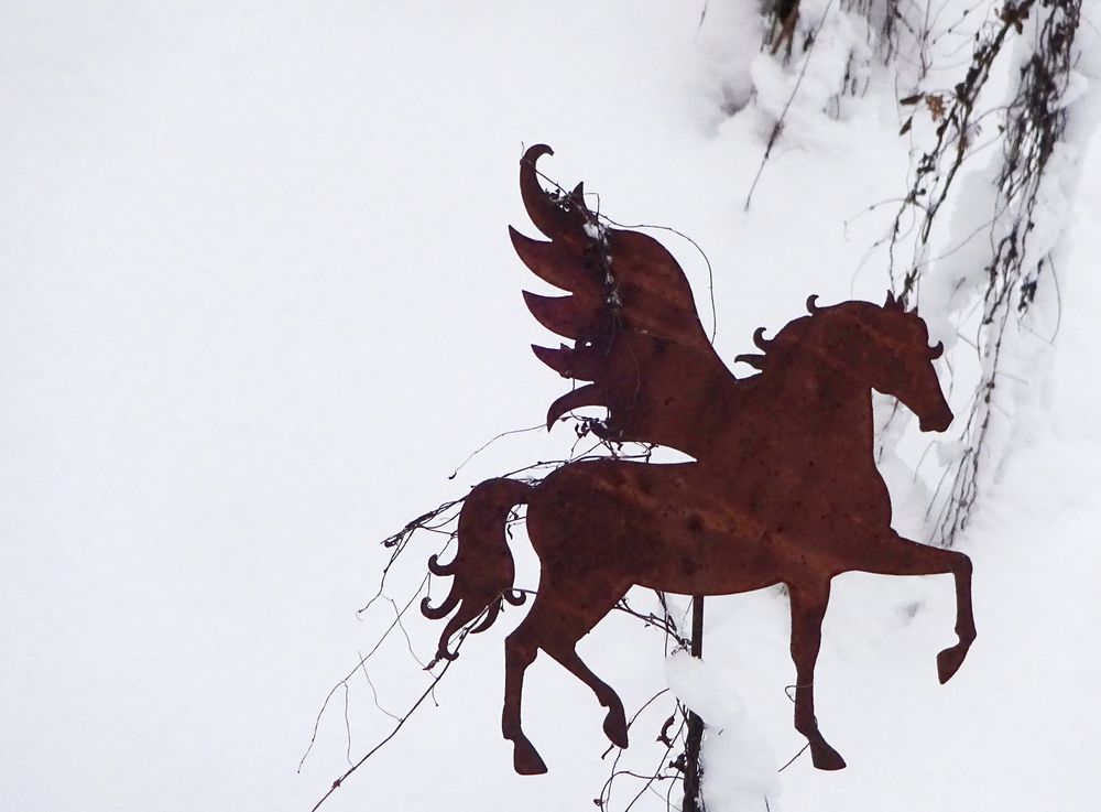 Pegasus im Schnee
