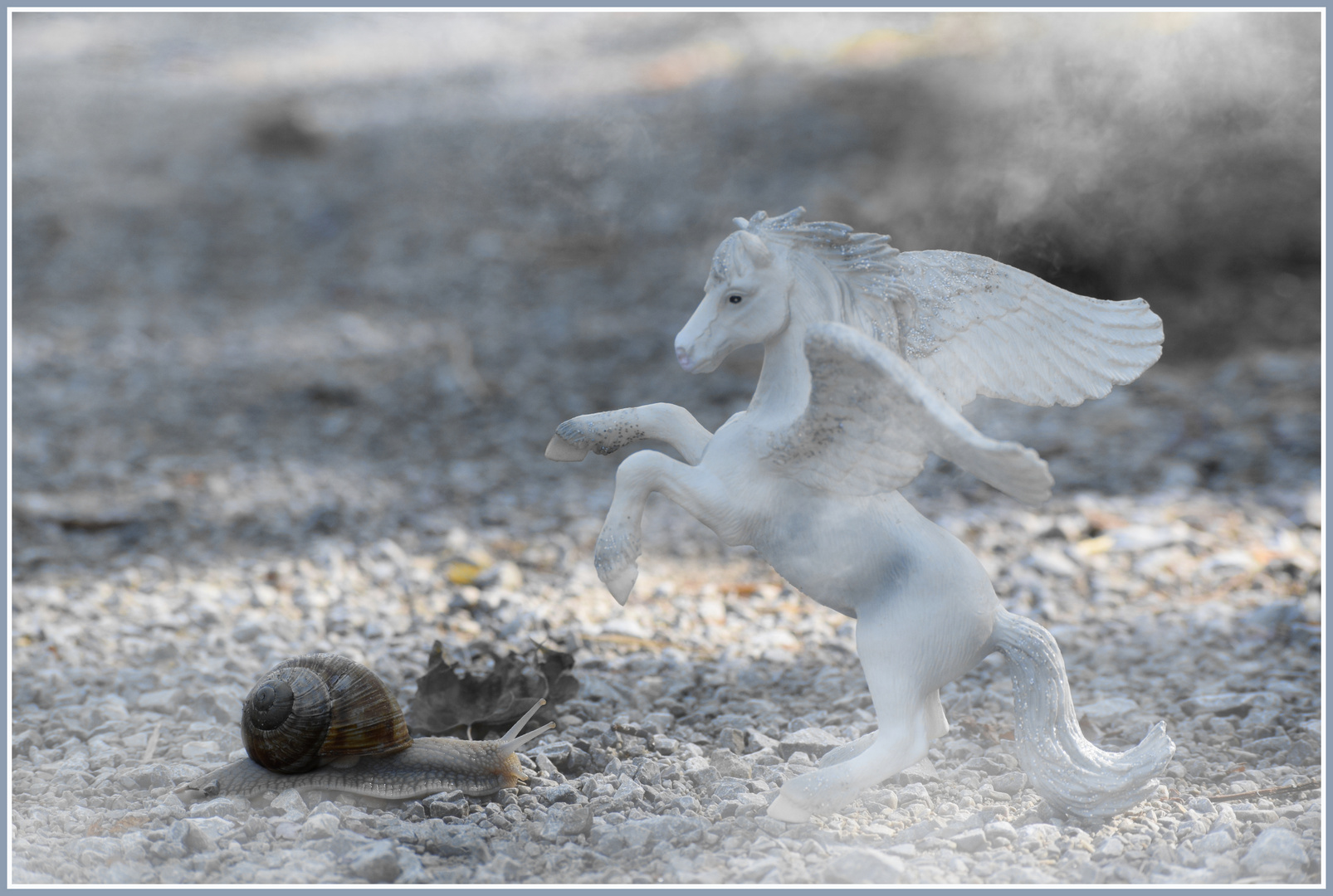 Pegasus vs Rennschnecke
