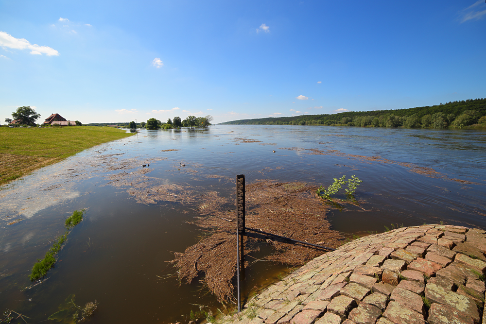 Pegel Artlenburg an der Elbe