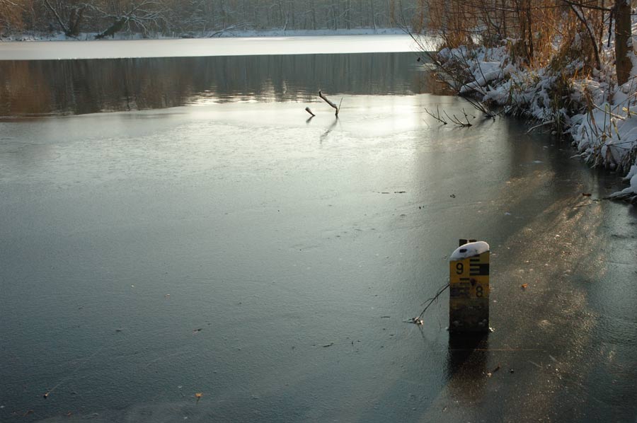 Pegel im Junfernheideteich, das Original