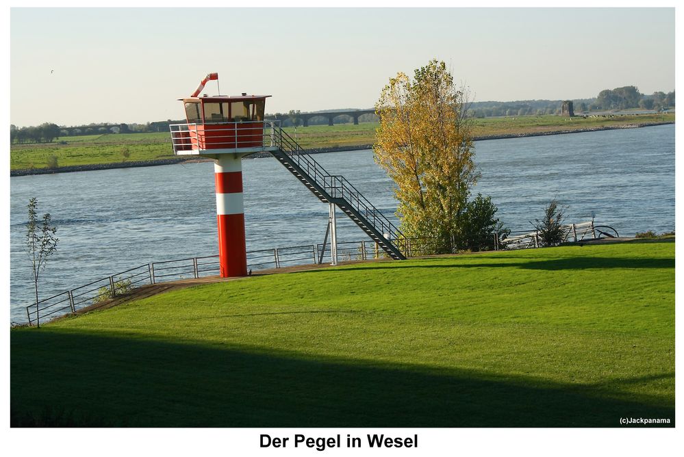 Pegel in Wesel am Rhein