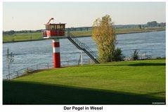 Pegel in Wesel am Rhein