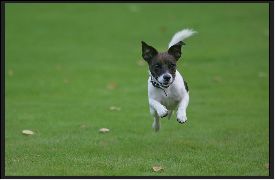 Peggy Flugbild