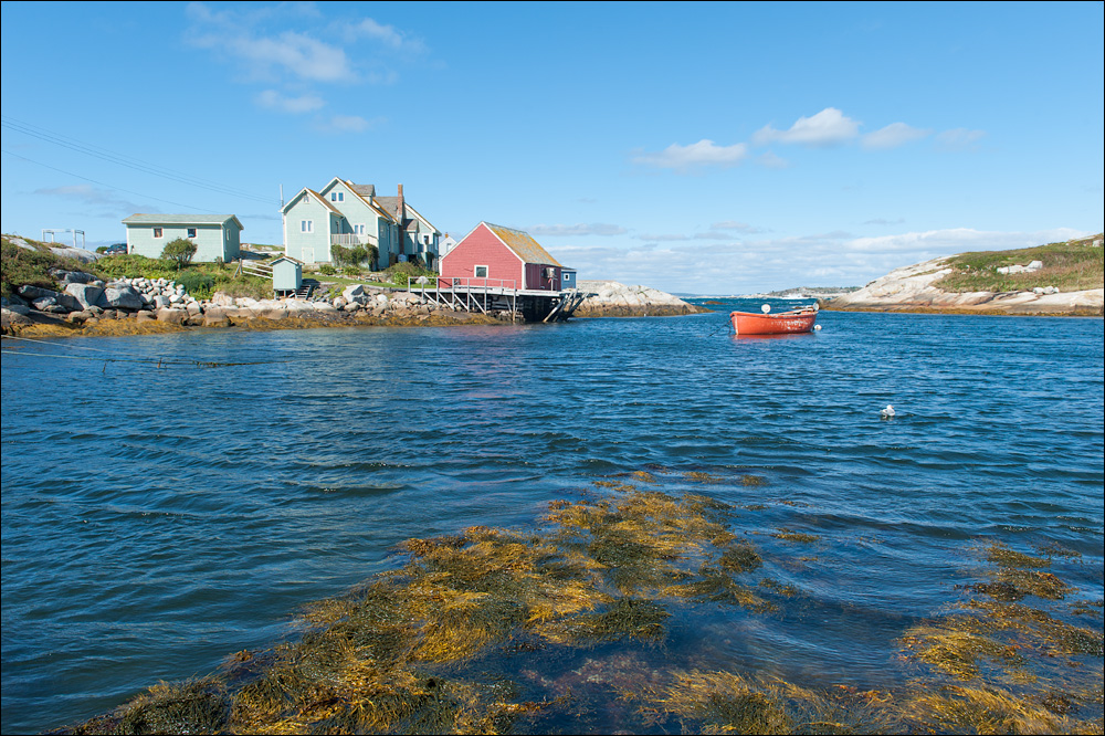 [ Peggy's Cove ]