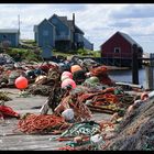 Peggy's Cove 3