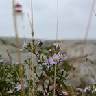 Peggy's Cove