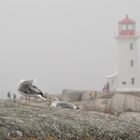 Peggy´s Cove im Nebel