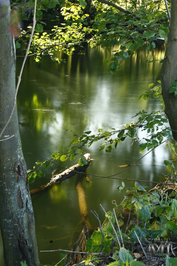 Pegnitz