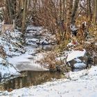 Pegnitz mit Wild im Winter