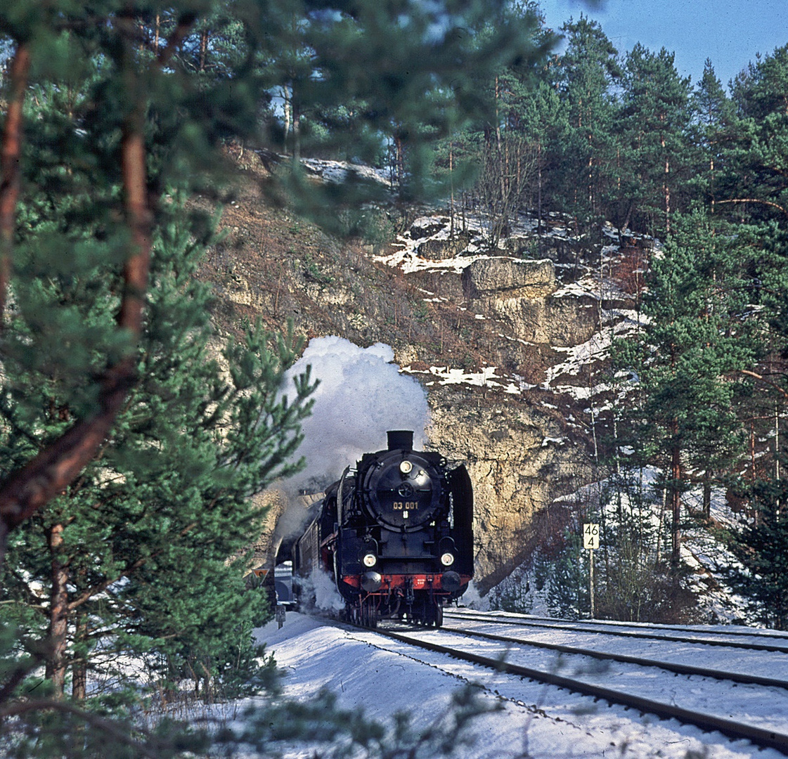 Pegnitztal im Februar 1993