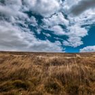 PEINADAS POR EL VIENTO