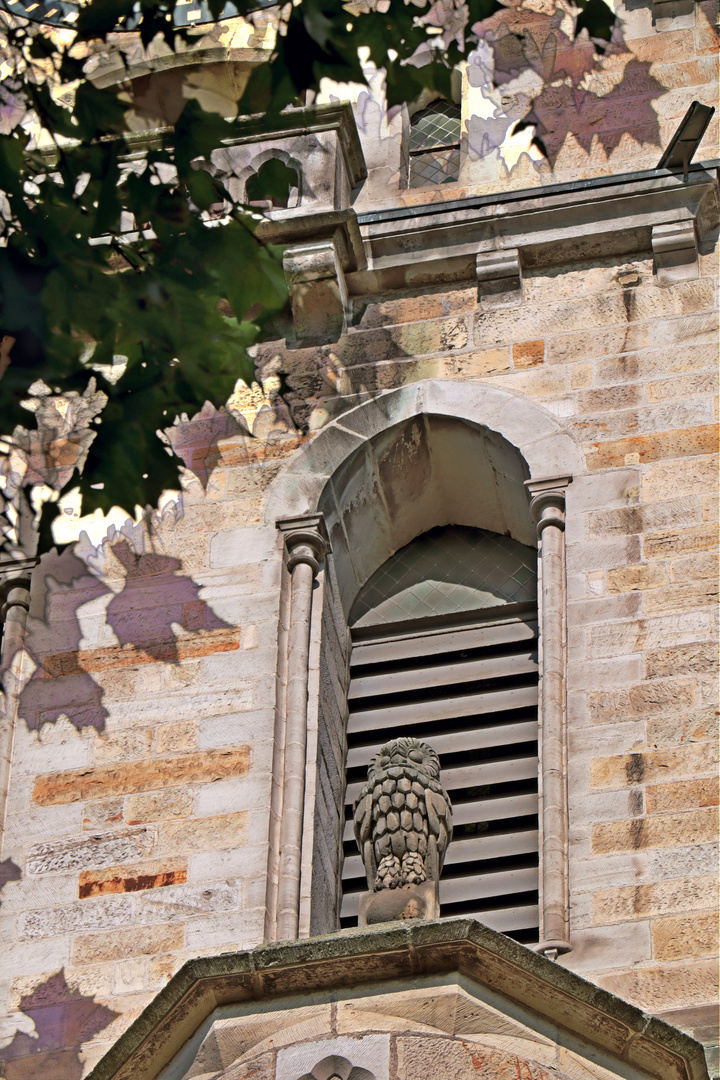 Peine Eule St.-Jakobi-Kirche Wahrzeichen