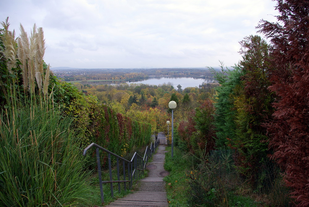 Peinture d'automne