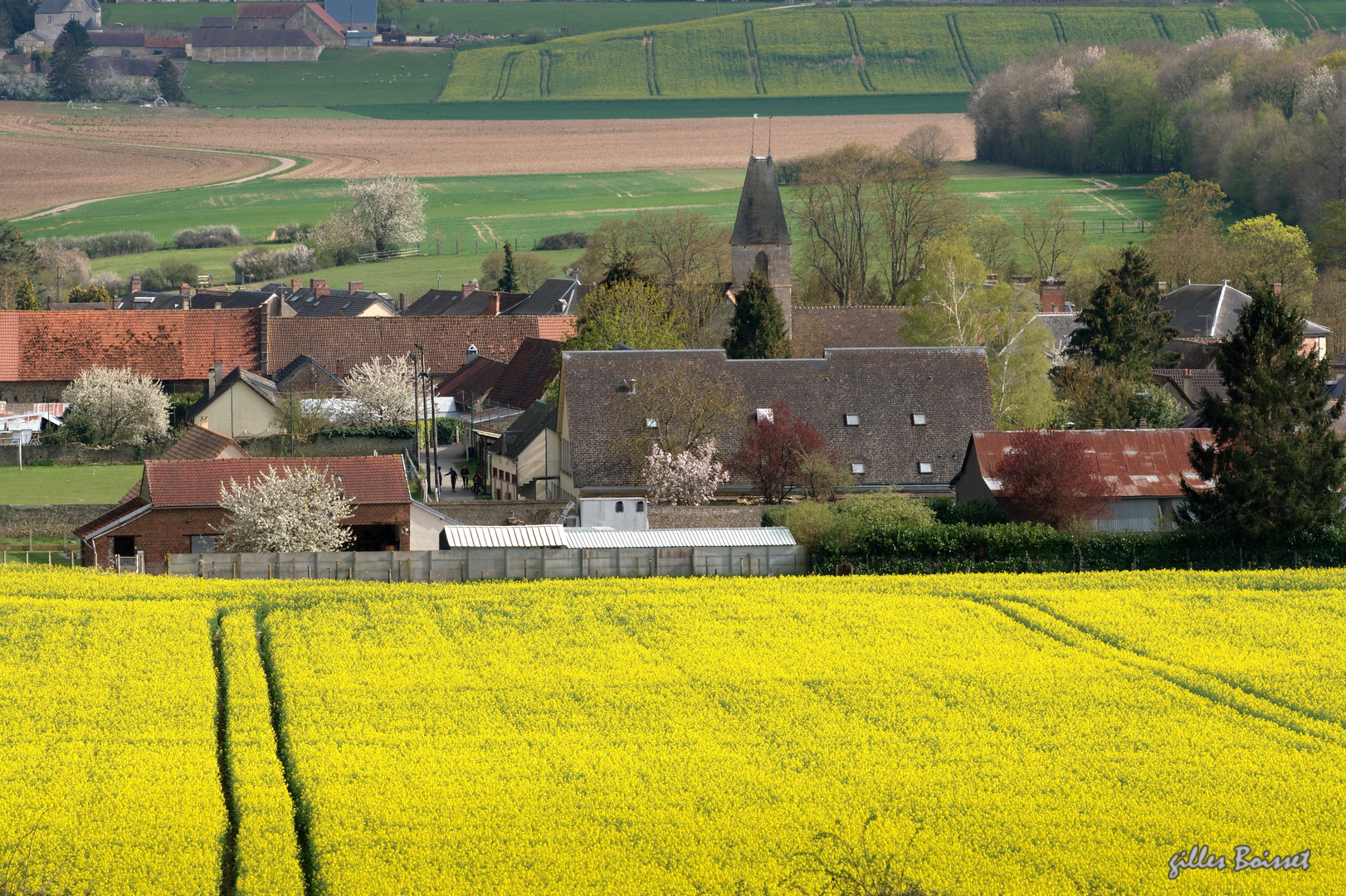 peinture de printemps