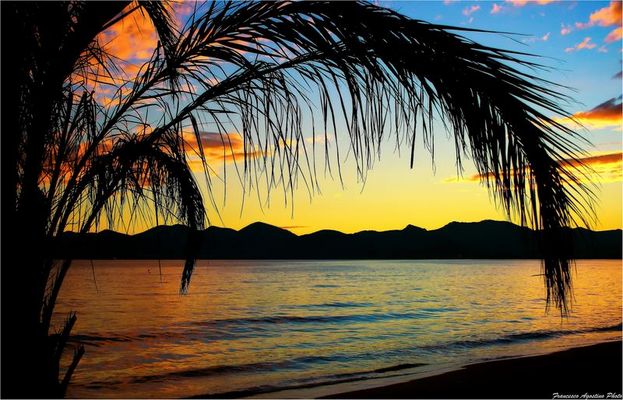 - Peinture Fraìche - Cannes