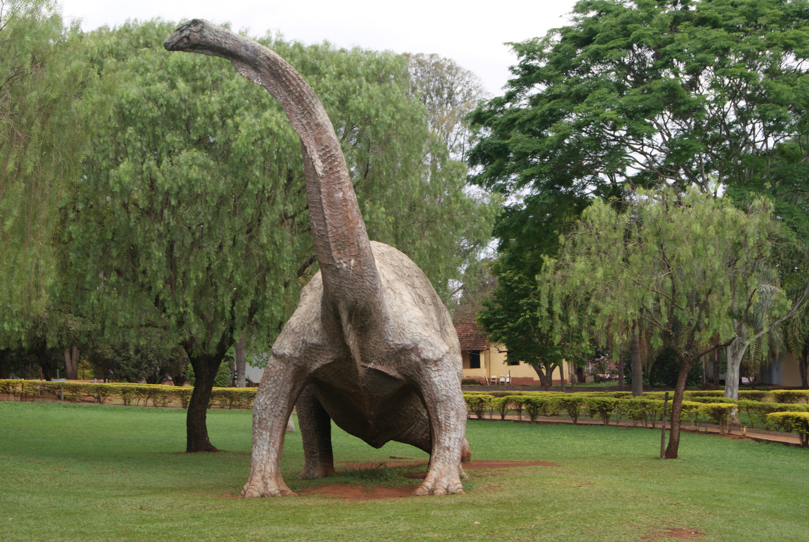 Peiropolis palaeontological Museum