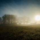 Peißenberg bei Nebel