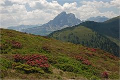 Peitlerkofel und Geislergruppe