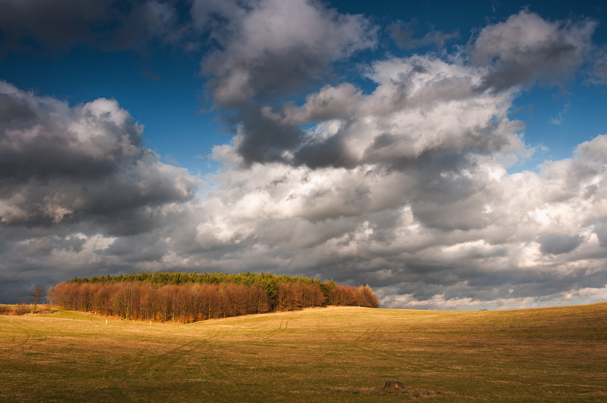 Pejza&#380;