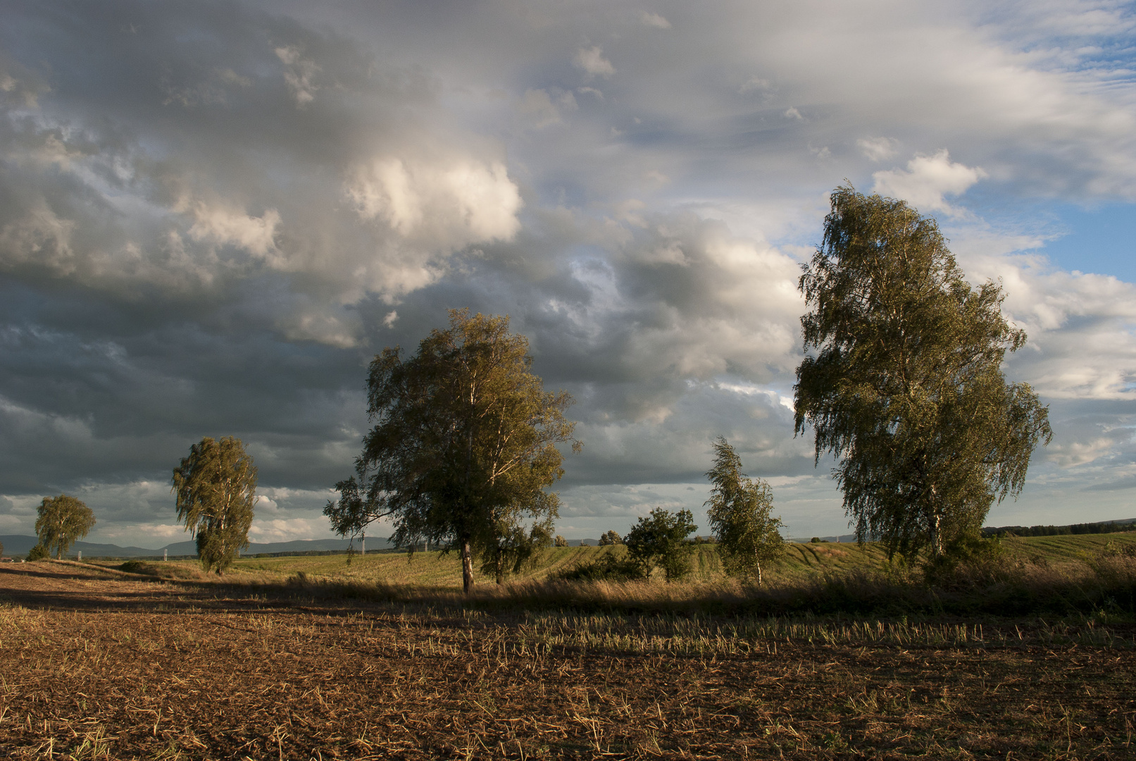 pejza&#380;