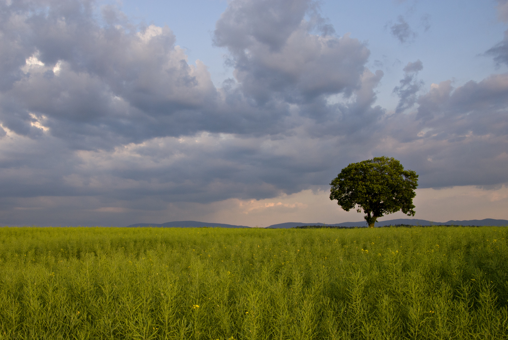 Pejza&#380;