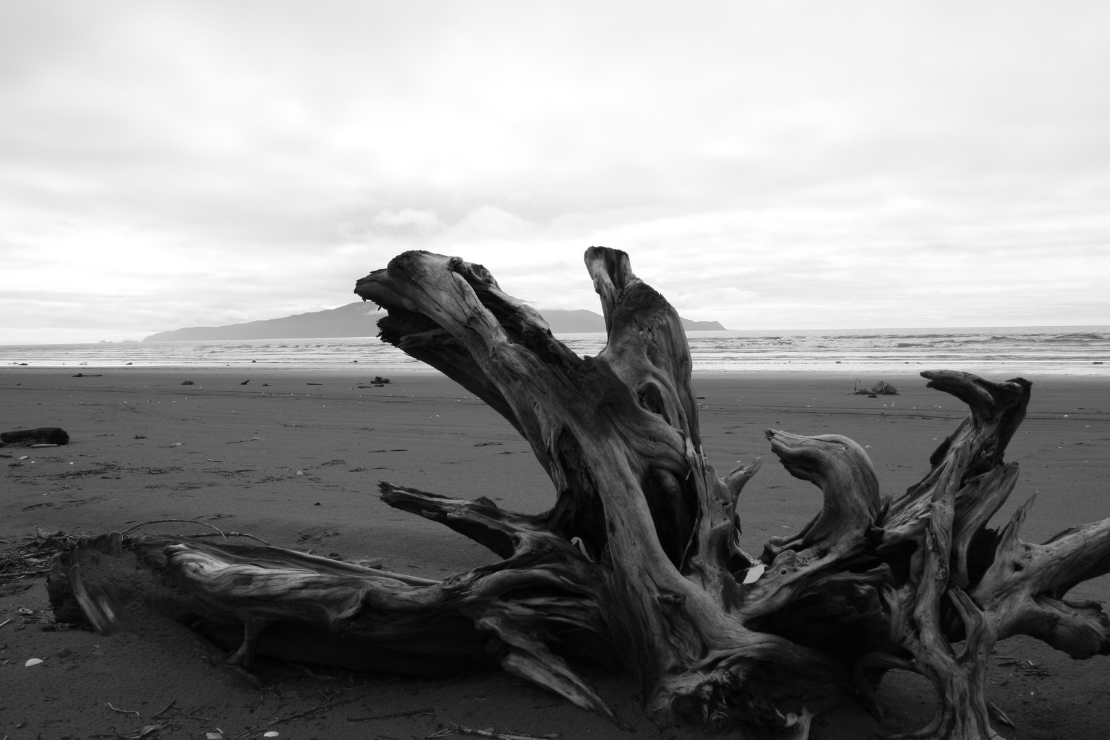 Peka Peka Beach Foto & Bild australia & oceania, new zealand, world
