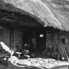 Pelando patatas.- Palloza (Vivienda prerromana).Lugo-Galicia