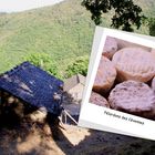 Pélardons des Cévennes ....