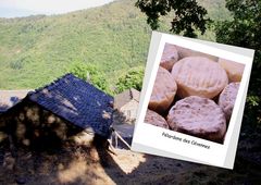 Pélardons des Cévennes ....