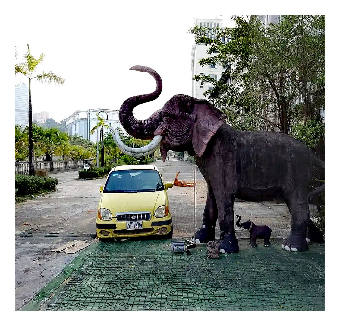 P_Elefant Road Camb-re-648-col +FotoLink