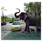 P_Elefant Road Camb-re-648-col +FotoLink