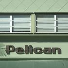 Pelican