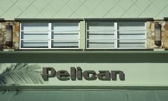 Pelican