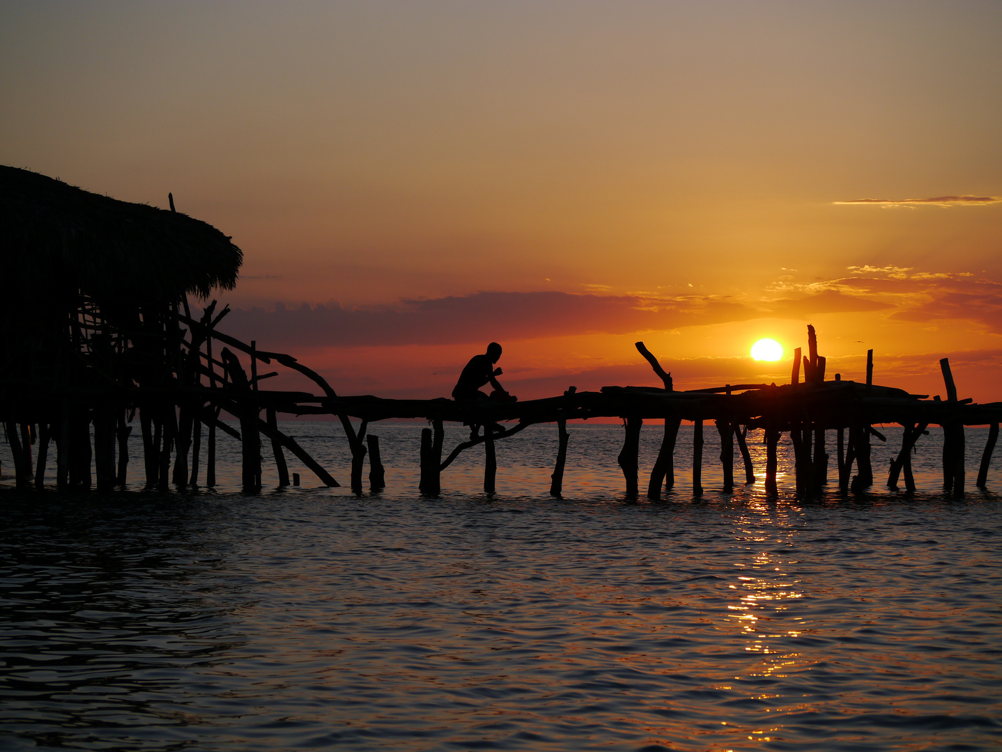 pelican bar at sunset