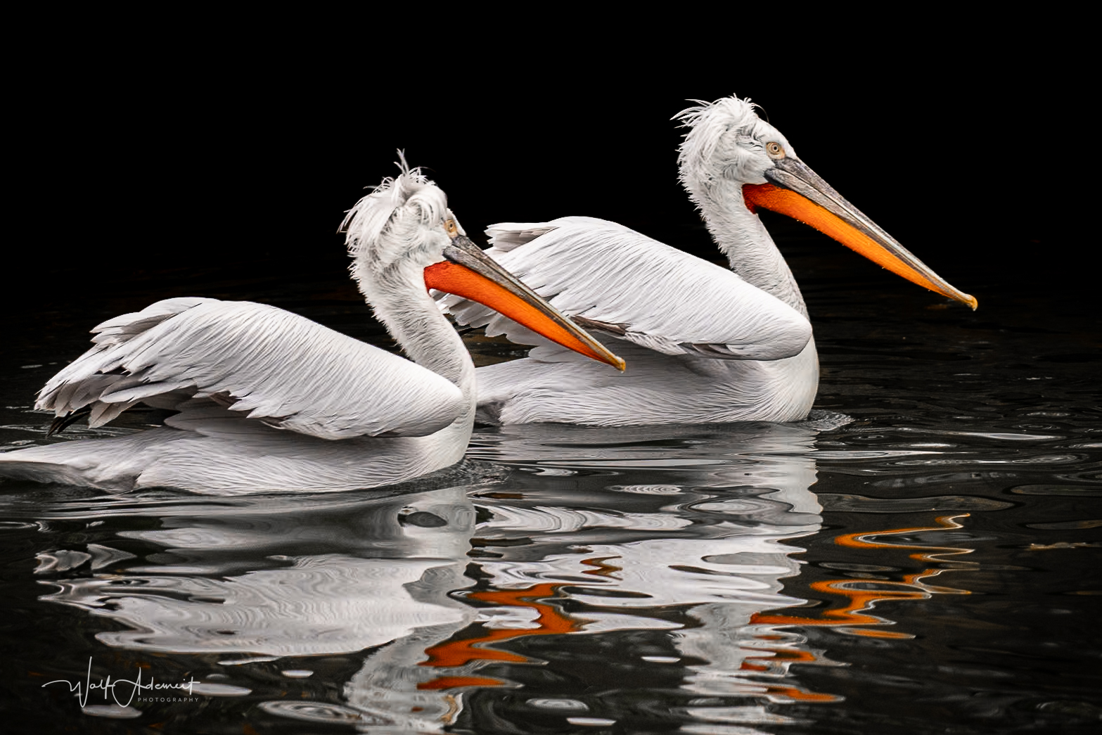pelican lake
