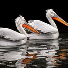 pelican lake