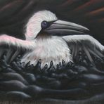 Pelikan in Öl
