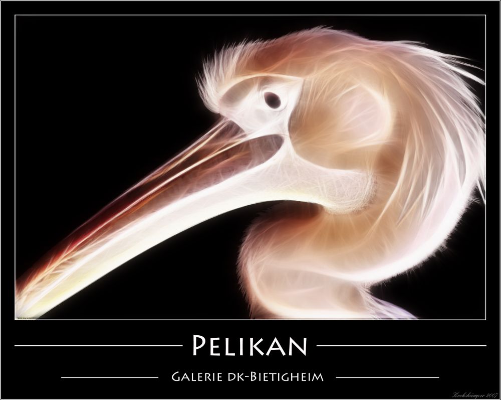 Pelikan-leuchtend