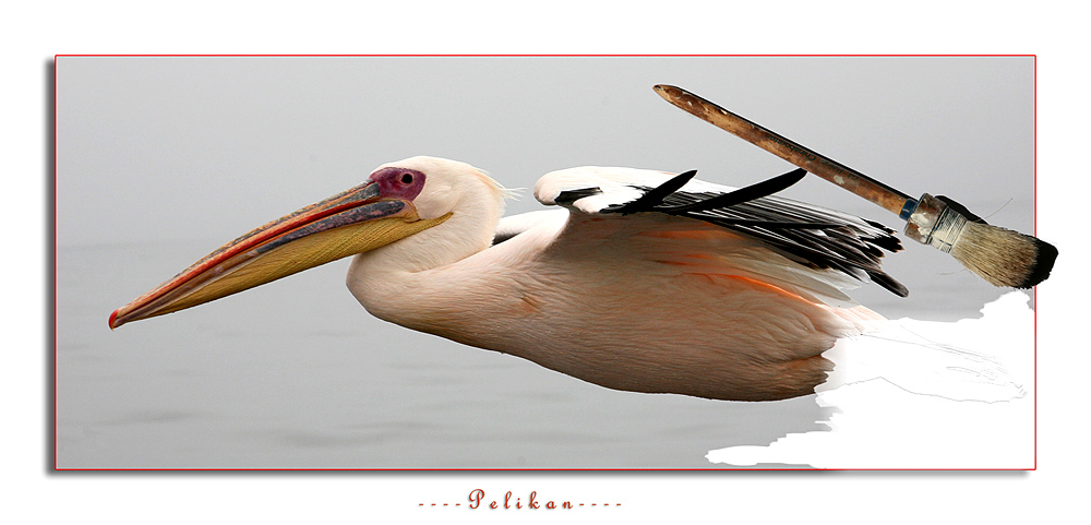 Pelikan painted
