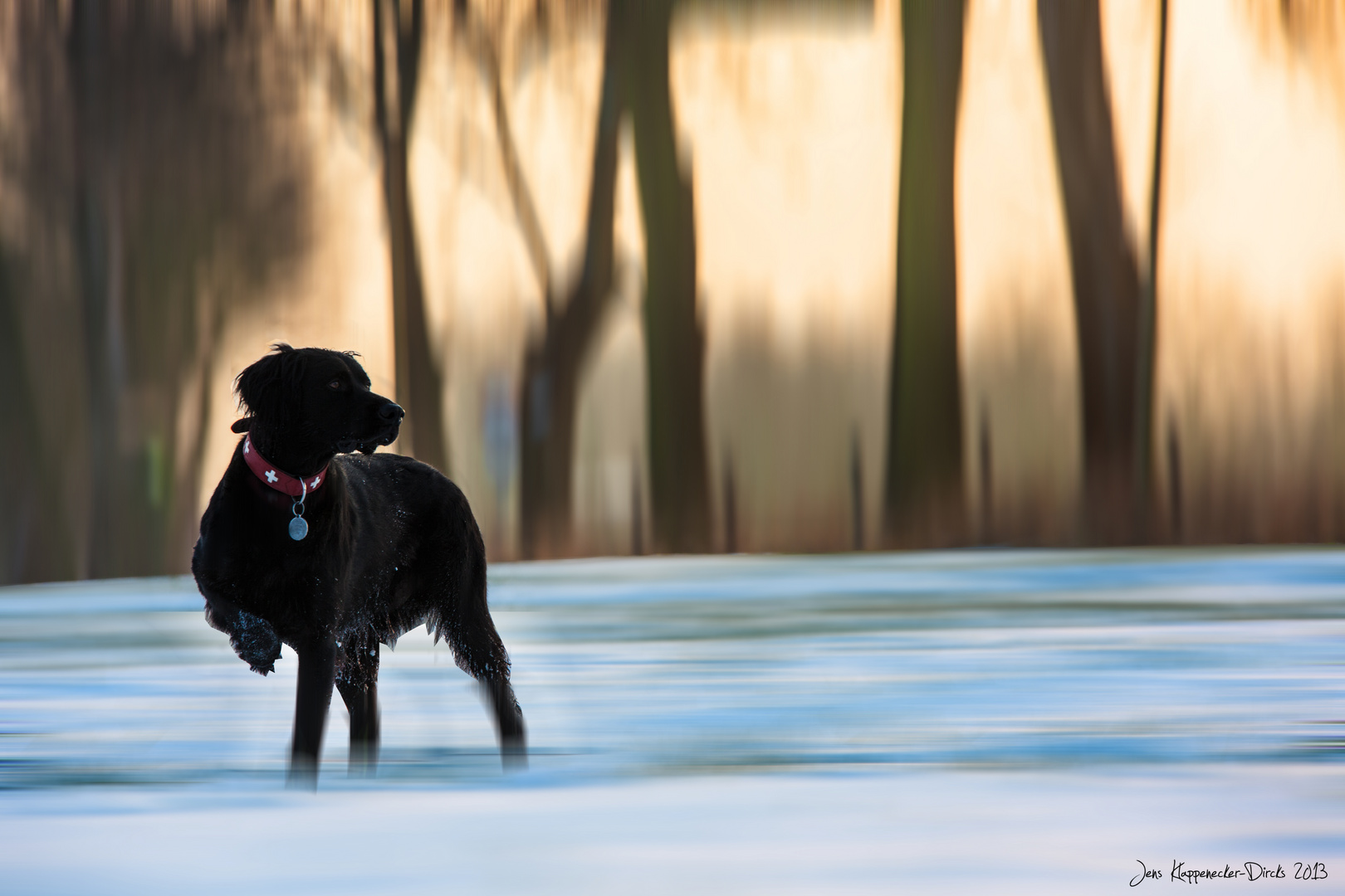 Pelle im Schnee