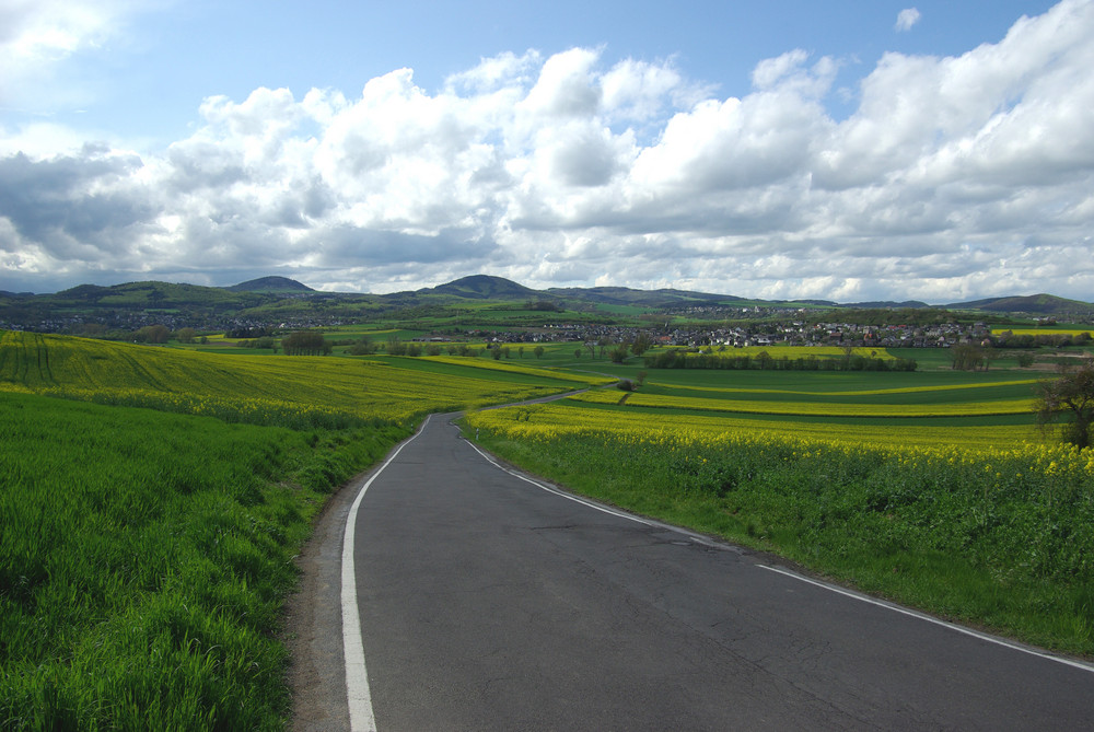 Pellenzlandschaft (Vordereifel)