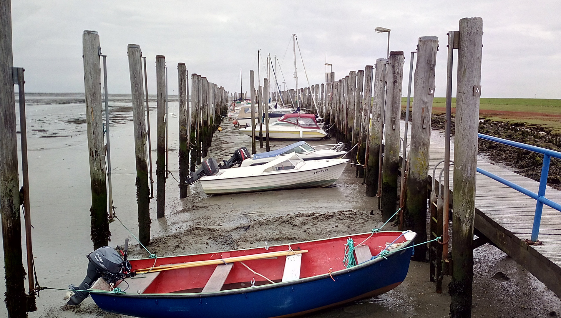 Pellworm Ebbe im Hafen