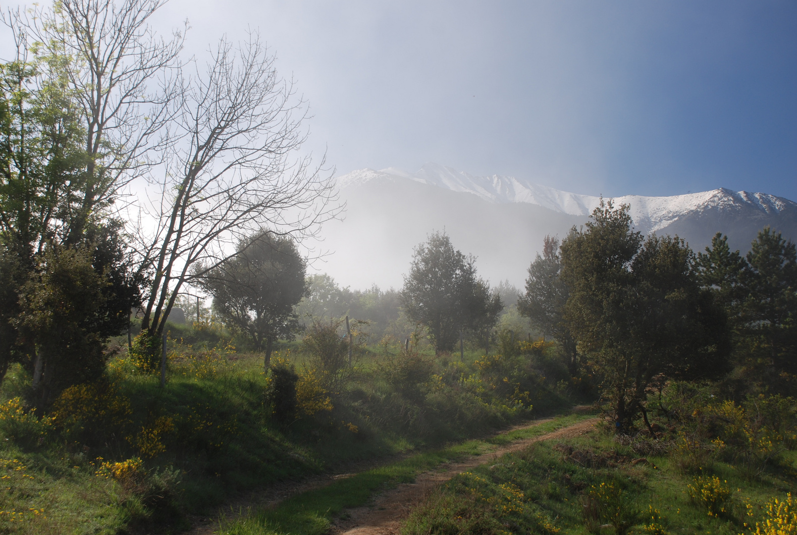 PELS VOLTANTS DEL CANIGÓ. EN LAS CERCANIAS DEL CANIGÓ. AT THE SURROUNDINGS OF MOUNT CANIGÓ