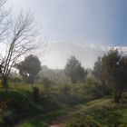 PELS VOLTANTS DEL CANIGÓ. EN LAS CERCANIAS DEL CANIGÓ. AT THE SURROUNDINGS OF MOUNT CANIGÓ