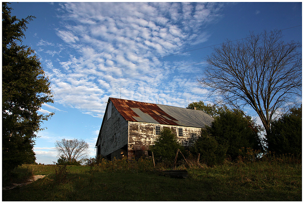 Pelster House