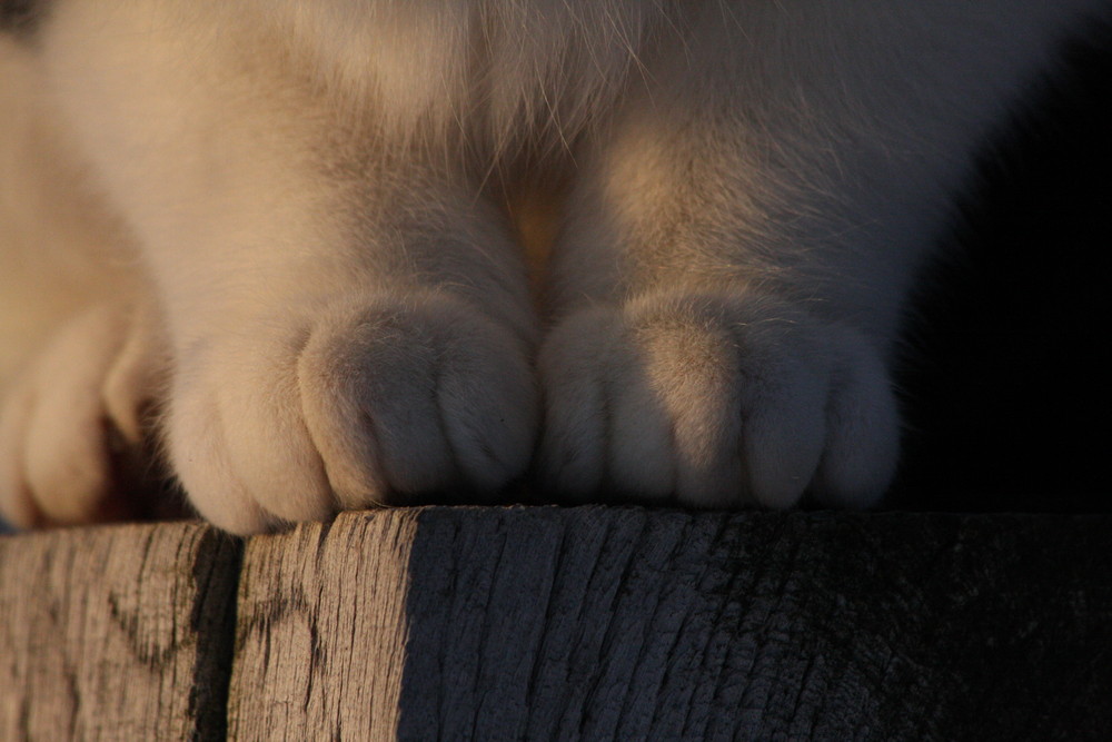 Pelzige Wintersocken