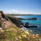 Pembrokeshire Coast Path