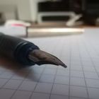 Pen