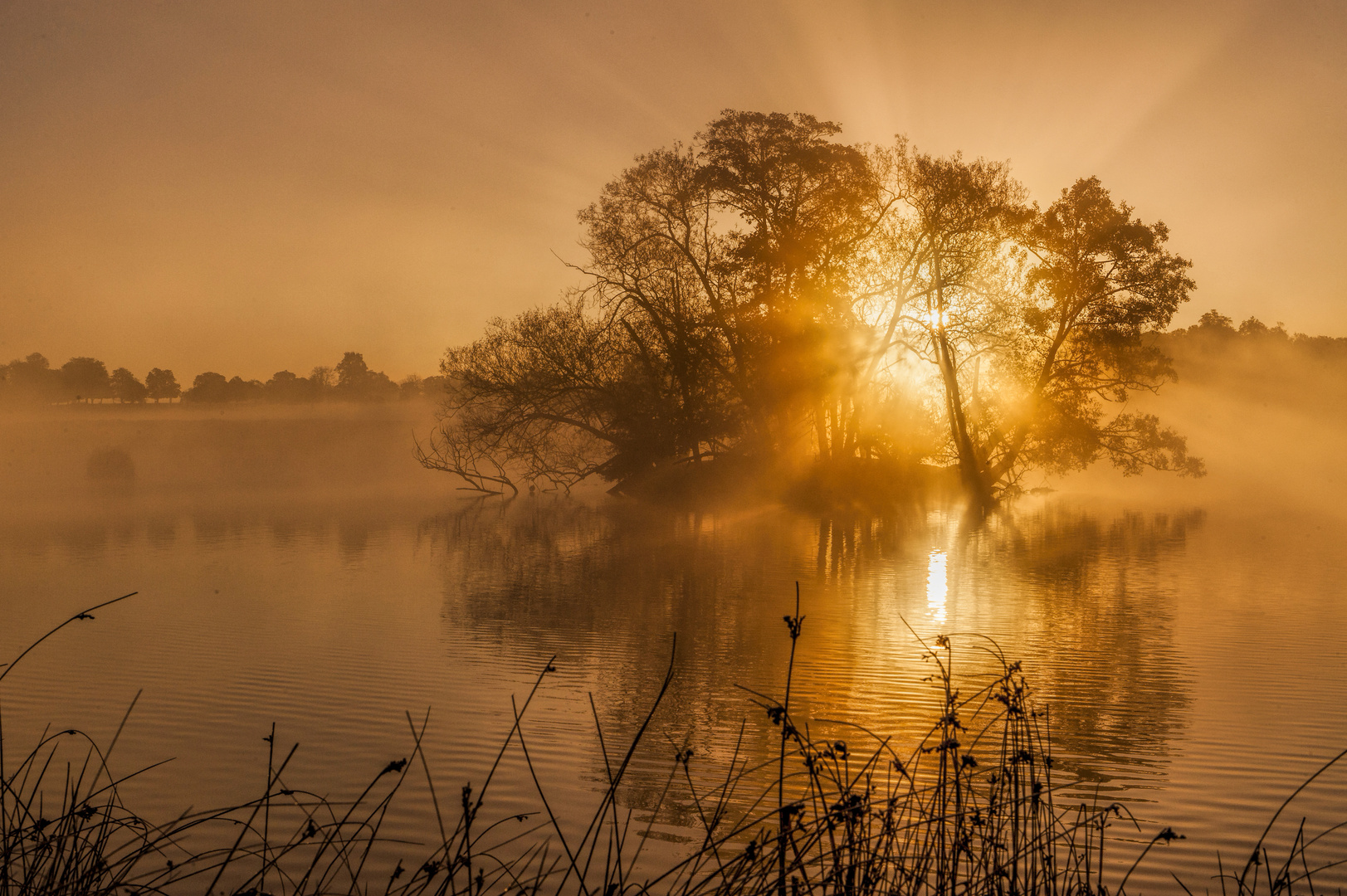 Pen Ponds